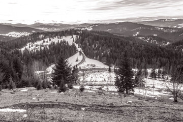 Landscapes - Forest - Europe, Romania, Suceava region 