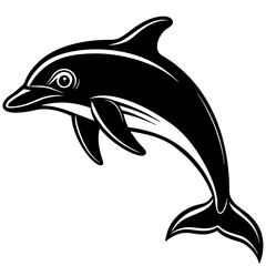 dolphin isolated on white