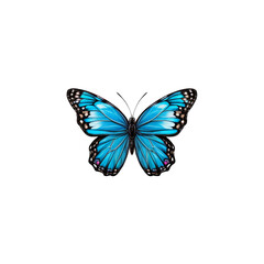 Obraz premium Azure Morpho Butterfly: A vibrant blue morpho butterfly with intricate black markings and shimmering wings, a symbol of beauty, transformation, and delicate grace. 