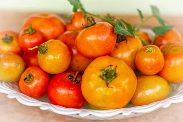 cesta com tomates vermelhos
