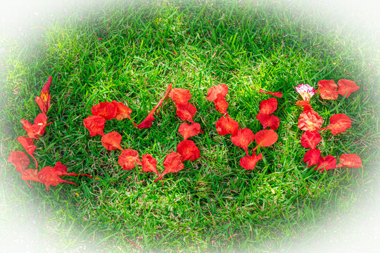 palavra love escrita com p&eacute;talas de flores vermelhas