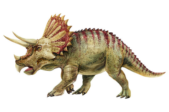 recommend clip art: Realistic dinosaur. triceratops dinosaur watercolor hand painted prehistoric illustration isolated on white background