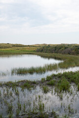 A lake in the dune nature reserve