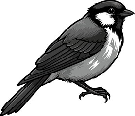Fototapeta premium A detailed illustration of a small bird, captured in a grayscale aesthetic. It is perched on a branch, ready to take flight. Its feathers are meticulously rendered.
