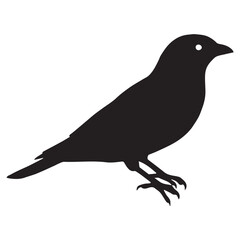 Silhouette of a bird on white background	