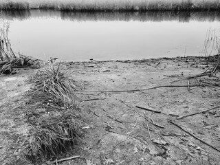 sandy river bank, clear water, dry reeds, autumn
