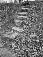 hill, stone steps, autumn leaves