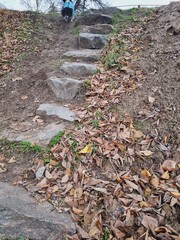 hill, stone steps, dog in clothes on a walk