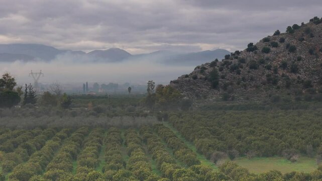 Argolis Valley, Nafplio Greece form the sky