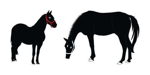 Two Black Horse Silhouettes with Red Halters. Symbols of Horse vector, Horse Icon, Horse Logo.
