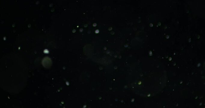 Video showcasing microcosmos microorganisms under microscope, appearing like deep space with countless moving particles resembling stars. Mesmerizing scientific artistic visual.
