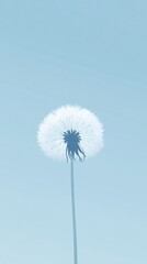 A Single Dandelion Seed Head Against A Pale Blue Sky