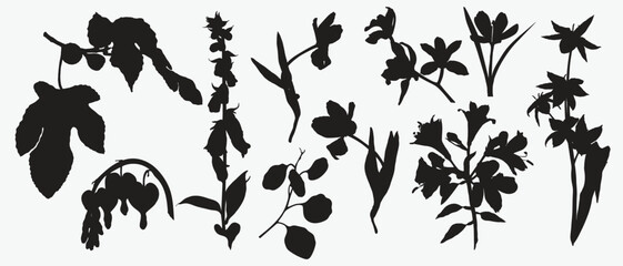 Set of tropical leaves and flowers silhouette isolated on white background.