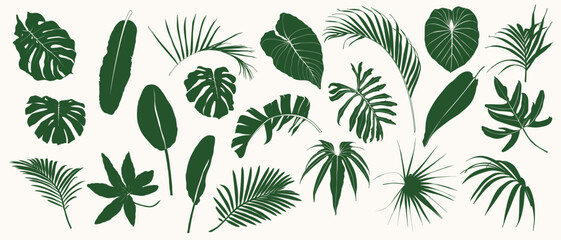 Set of tropical palm leaves and plants isolated on white background.