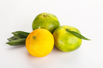 Fresh ripe sweet juicy mandarins