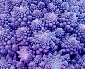 close up of a bunch of grapes