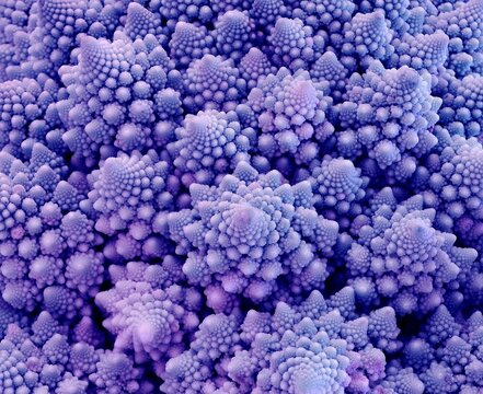 close up of a bunch of grapes
