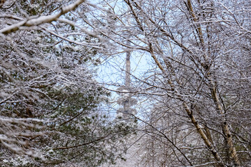 VIew to Ulriksmasten, Bergen, Norway