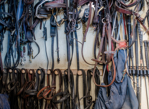 Bridles and riding equipment stored in the saddlery