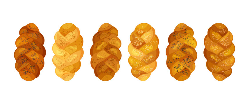 Challah bread icon, Shabbat loaf, Jewish braid brioche, bakery sweet bun isolated on white background. Cartoon vector illustration