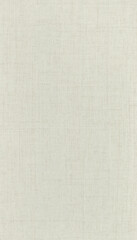 Subtle Light Beige Textured Surface for Background or Design Use