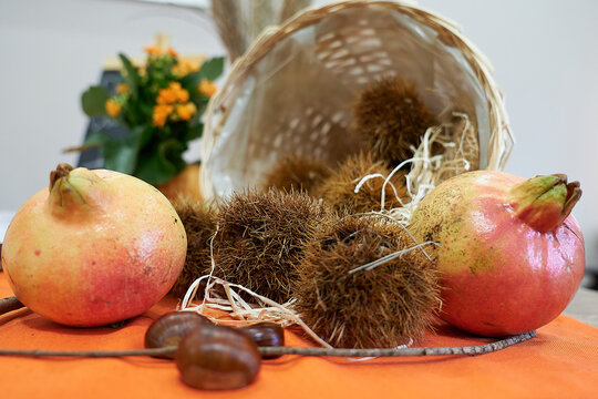 Closeup shot of chestnut hedgehog and pomegranate on the table
