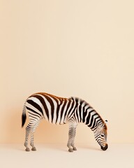 Fototapeta premium Adorable safari nursery art, Peaceful Baby Zebra Grazing in Soft Light