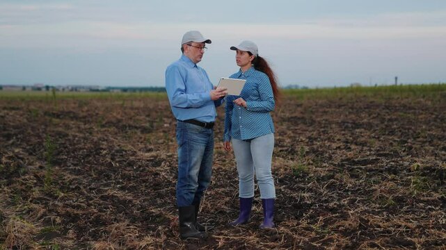 two farmers working digital tablet field, agriculture, teamwork business, growth development cultivation, computer, laughing, control, fresh, crop - plant, app, fertile, countryside, peasant, sales