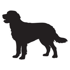 Golden Retriever Dog Vector silhouette illustration black

