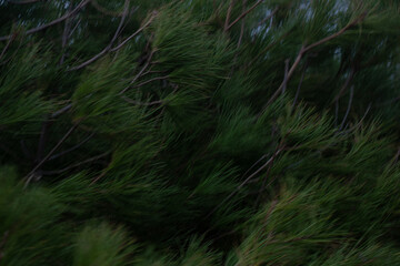 Wasser, Meer, Wellen und K&uuml;ste in Sardinien