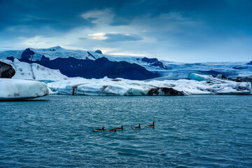 Scenic view of blue iceberg with flock of duck during winter at Jokulsarlon Glacier Lagoon