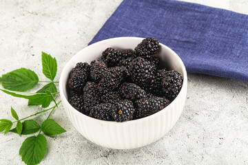 Natural organic sweet ripe blackberry