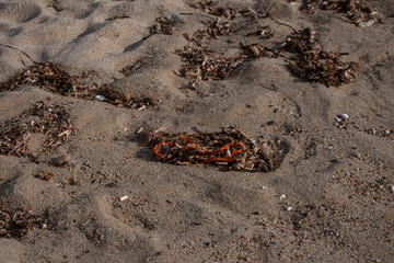 Abfall am Strand - Mikroplastik im Meer