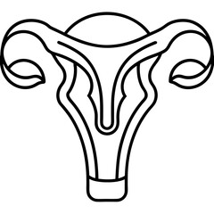 Uterus on white background