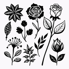Rough, hand-drawn black and white sketches of various flowers, leaves, and stems 