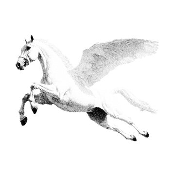 Pegasus, white winged horse.  Fine stippled effect. dot effect. Vintage look. Quality resource for any project.