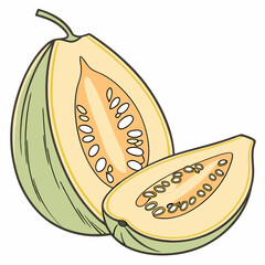 illustration of guava