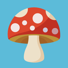 mushrooms in the grass