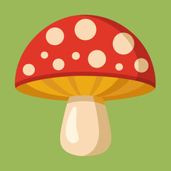 fly mushroom