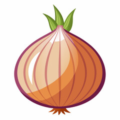 onion isolated on white