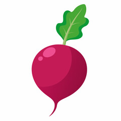 beetroot isolated on white background