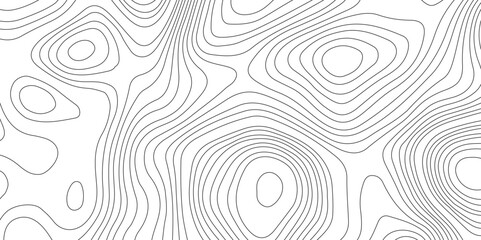 Topography and geography map grid abstract backdrop, Modern design with White background.	
