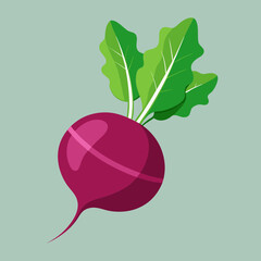 beetroot isolated on white background