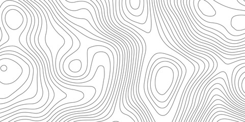 Topography and geography map grid abstract backdrop, Modern design with White background.	
