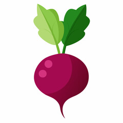 beetroot isolated on white background