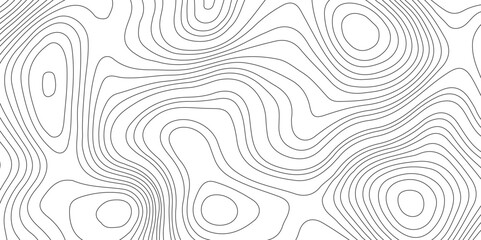 Topography and geography map grid abstract backdrop, Modern design with White background.	
