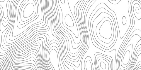 Topography and geography map grid abstract backdrop, Modern design with White background.	
