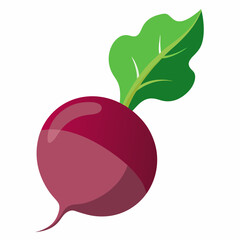beetroot isolated on white background