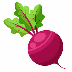 beetroot isolated on white background