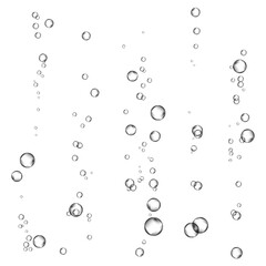 Oxygen air bubbles  flow  in water on white  background.